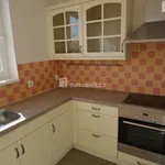 Rent 1 bedroom house of 970 m² in Chýně