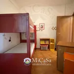 Rent 3 bedroom apartment of 65 m² in Pisa