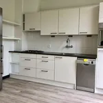 Huur 4 slaapkamer appartement van 100 m² in 's-Hertogenbosch