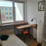 Rent 1 bedroom apartment of 6 m² in Brno