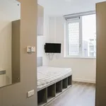 Rent 8 bedroom apartment in Dublin