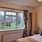 Rent 3 bedroom house in South East England