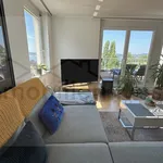 Rent 3 bedroom apartment of 168 m² in Überlingen