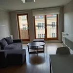 Rent 2 bedroom apartment of 52 m² in Poznan