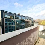 Rent 1 bedroom house of 36 m² in Cologne