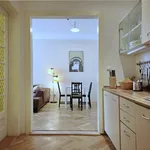 Rent 1 bedroom apartment of 50 m² in Prague