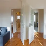 Rent 1 bedroom apartment in lisbon