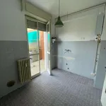 Rent 2 bedroom apartment of 60 m² in Milan