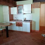 Rent 1 bedroom apartment of 50 m² in Mantova