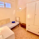 Rent 3 bedroom apartment of 90 m² in florence