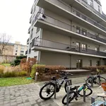 Rent 1 bedroom apartment of 42 m² in Berlin