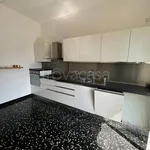 Rent 2 bedroom apartment of 63 m² in Genova