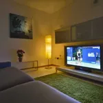 Rent 2 bedroom apartment of 125 m² in bologna