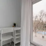 Alquilar 4 dormitorio apartamento en Madrid