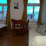 Pronajměte si 2 ložnic/e byt o rozloze 50 m² v prague