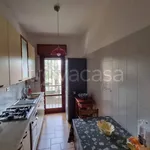 Rent 3 bedroom apartment of 80 m² in Roma