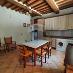 Rent 4 bedroom apartment of 70 m² in Castelnuovo dei Sabbioni