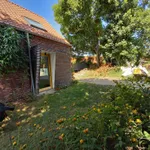 Rent 2 bedroom house of 500 m² in Diest