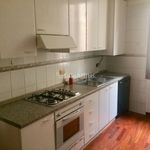 Rent 4 bedroom apartment of 100 m² in Padua