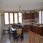 Rent 4 bedroom apartment of 90 m² in Lecce