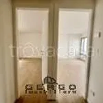 Rent 3 bedroom apartment of 80 m² in Padova