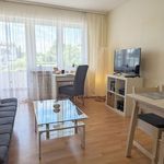 Rent 2 bedroom apartment of 45 m² in Koblenz