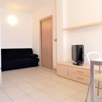 Rent 2 bedroom apartment of 55 m² in Turin