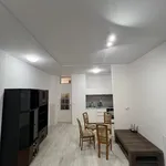 Rent 1 bedroom apartment in Jablonec nad Nisou