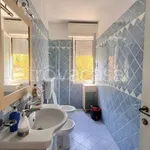 Rent 2 bedroom apartment of 69 m² in Sassuolo