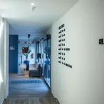 Rent a room in bilbao