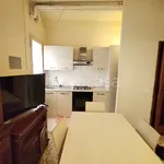 Rent 7 bedroom apartment of 200 m² in Pisa