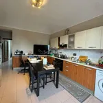 Rent 1 bedroom apartment of 50 m² in torino