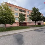 Rent 1 bedroom apartment of 28 m² in Týniště nad Orlicí