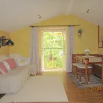 Rent 1 bedroom apartment of 35 m² in Lisbon