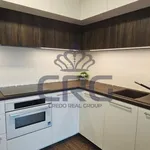 Rent 2 bedroom apartment of 55 m² in Brno