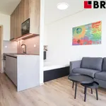 Pronajměte si 1 ložnic/e byt o rozloze 27 m² v Brno