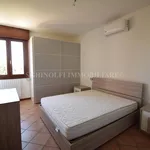 Rent 2 bedroom apartment of 71 m² in Bologna