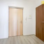 Pronajměte si 1 ložnic/e byt o rozloze 36 m² v Prague