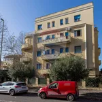 Affitto 1 camera appartamento di 34 m² in Roma