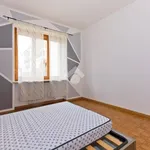 Rent 1 bedroom apartment of 20 m² in Bra