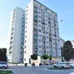 Rent 2 bedroom apartment of 34 m² in Szczecin