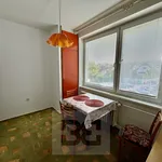 Rent 2 bedroom apartment in Blansko