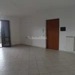 Rent 3 bedroom apartment of 80 m² in Terni