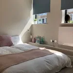 Rent 3 bedroom flat in Exeter