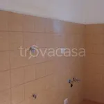 Rent 1 bedroom apartment of 75 m² in Roma