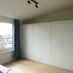 Huur 4 slaapkamer appartement in Woluwe-Saint-Lambert - Sint-Lambrechts-Woluwe