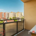 Pronajměte si 3 ložnic/e byt o rozloze 74 m² v Pilsen