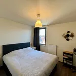 Rent 1 bedroom apartment in Ghent