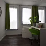 Miete 1 Schlafzimmer wohnung von 35 m² in Frankfurt