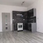 Rent 1 bedroom apartment of 56 m² in Hradec Králové